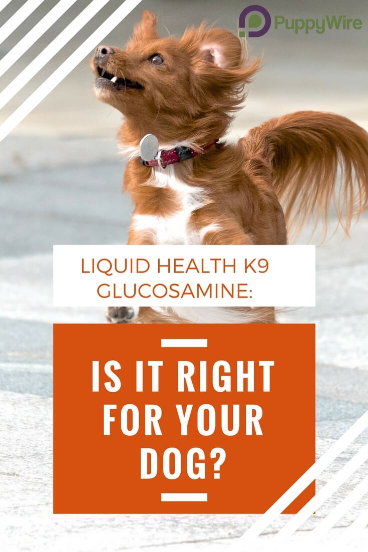 k9 liquid health glucosamine review