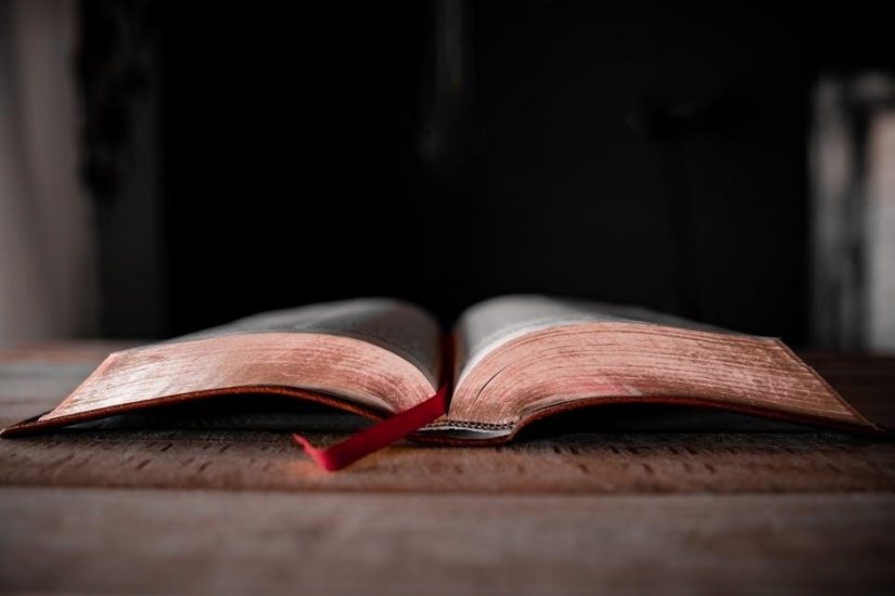 bible reading plan for 2024 pdf