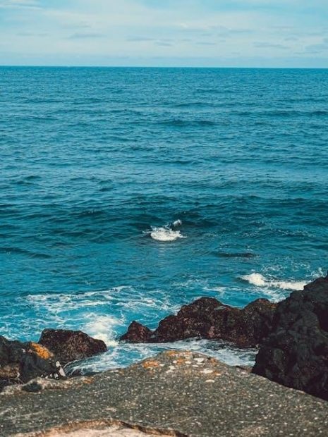 tv guide for north myrtle beach