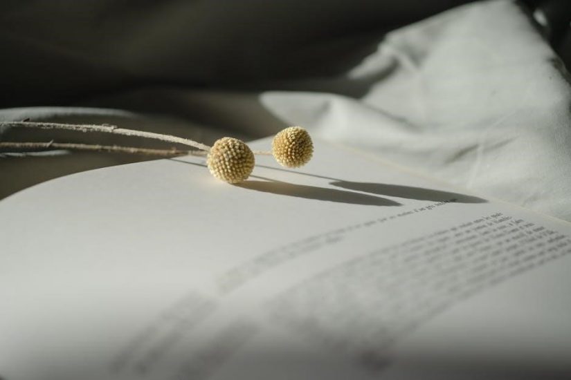 bhagavad gita chapter 4 pdf